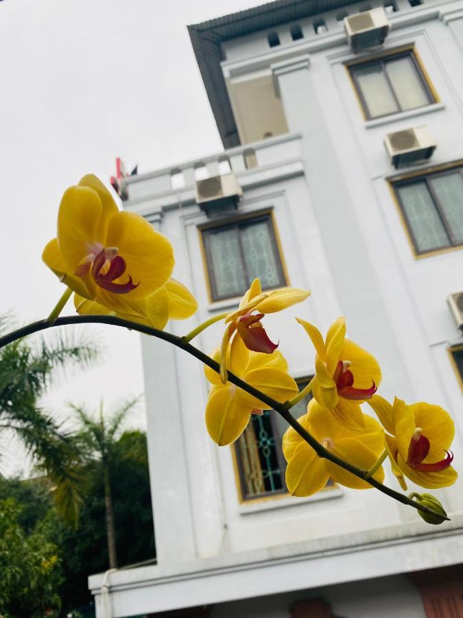 מלון וין Khach San Ami מראה חיצוני תמונה